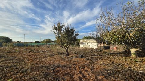 Foto 2 von Grundstücke zum Verkauf in Los Franceses – La Vega, Chiclana de la Frontera