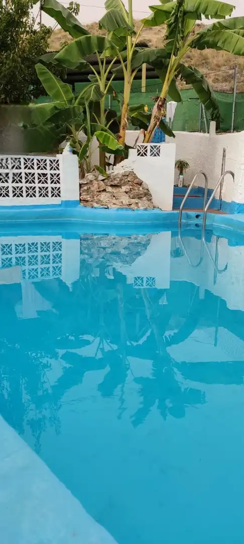 Piscina de Finca rústica en venta en Frigiliana con Calefacción, Jardín privado y Terraza