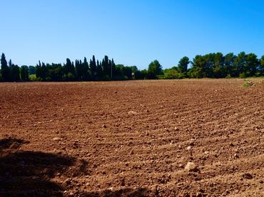 Rural land for sale in de les Planes