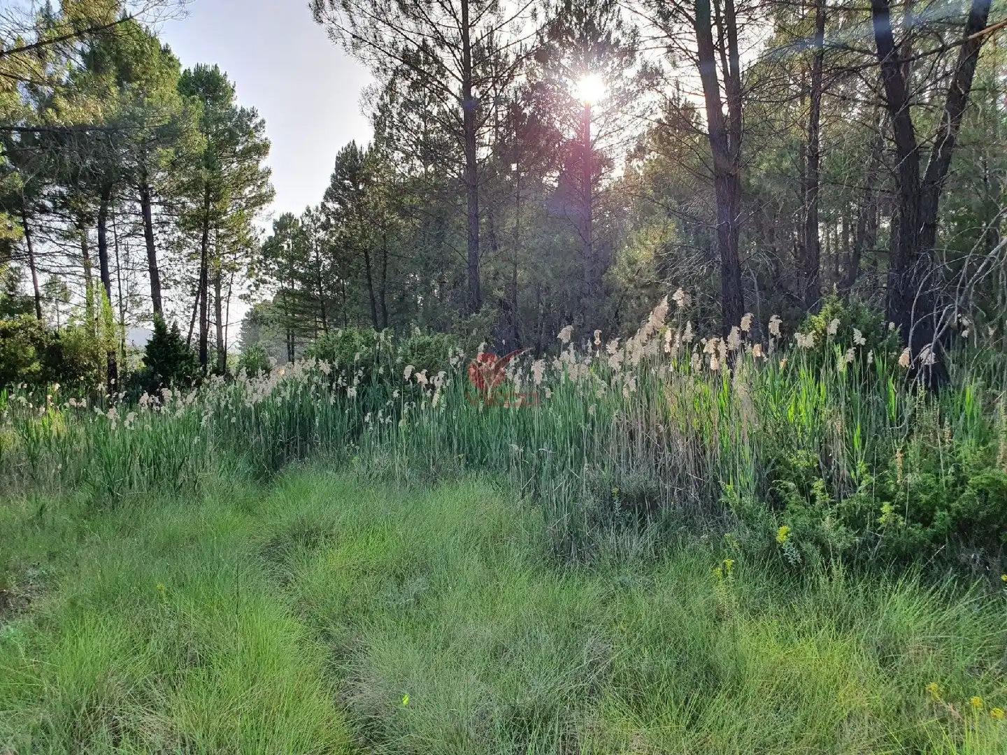 Terreni e lotti in vendita a JABAGA, CTRA. MADRID,, imagen 18