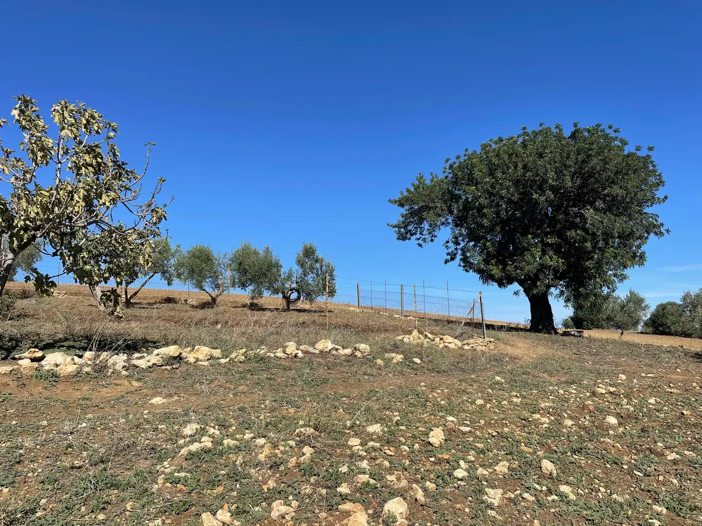 Terreno rustico in vendita a Arcos de la Frontera, imagen 8