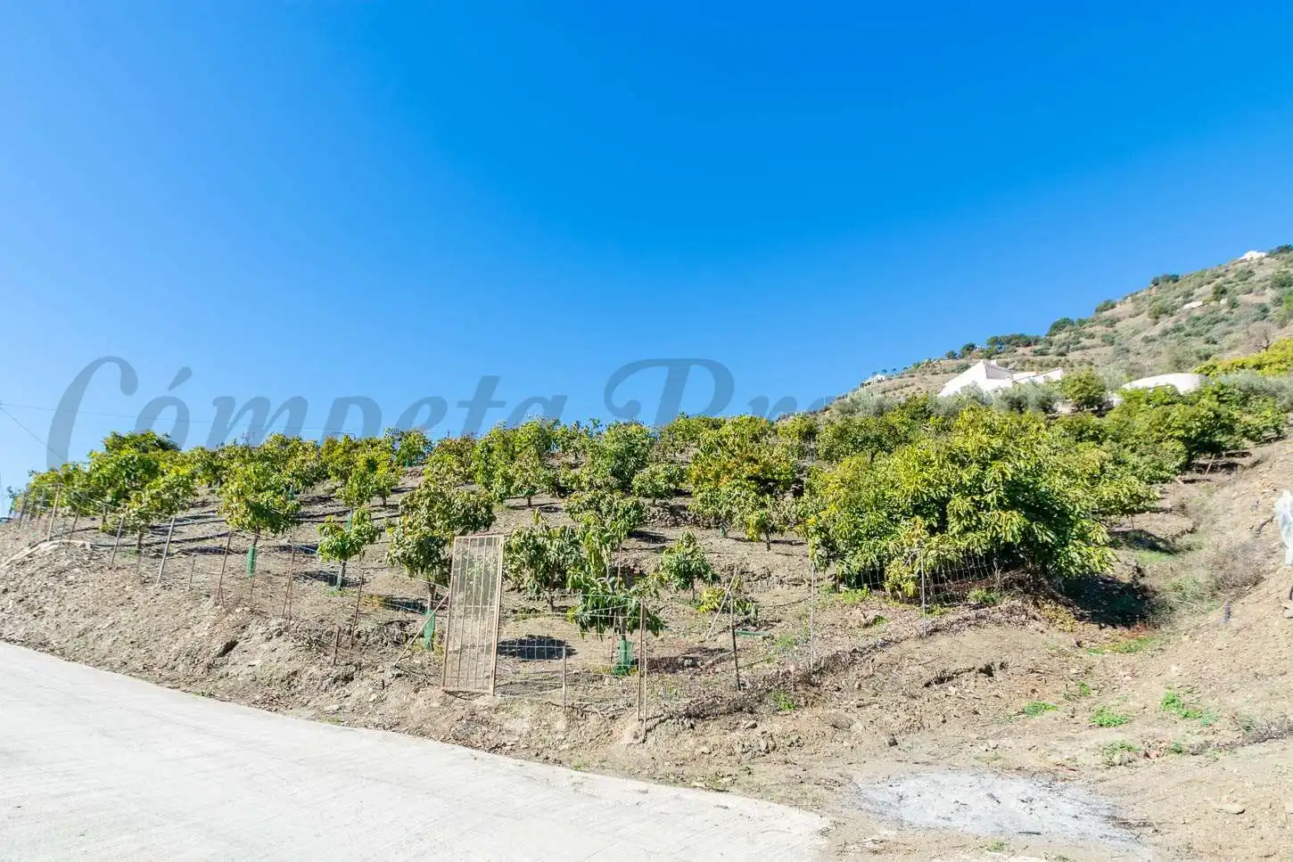 House for sale in Cómpeta, imagen 2