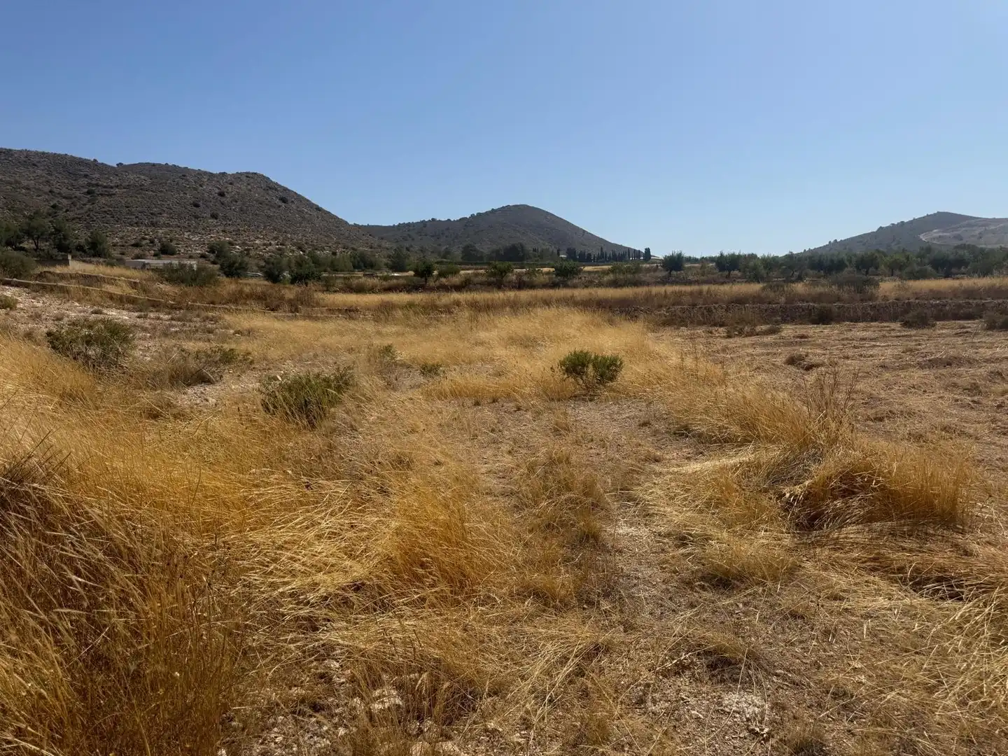 Grundstücke zum Verkauf in Hondón de las Nieves / El Fondó de les Neus, Alicante