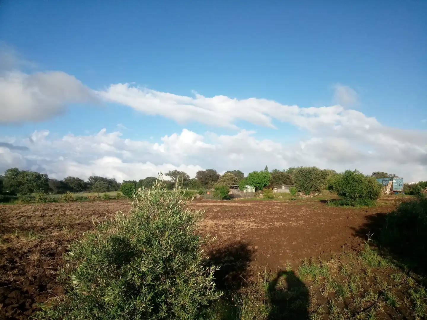 Terreni e lotti in vendita a Castilblanco de los Arroyos, imagen 8