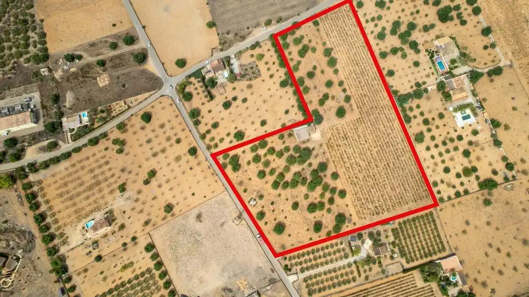 Land for sale in Consell