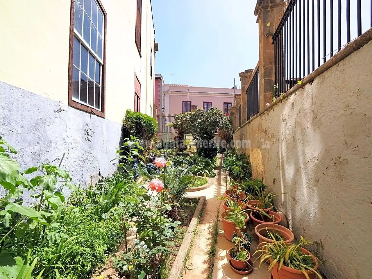 Exterior view of Houses for sale in La Orotava  with Private garden and Terrace