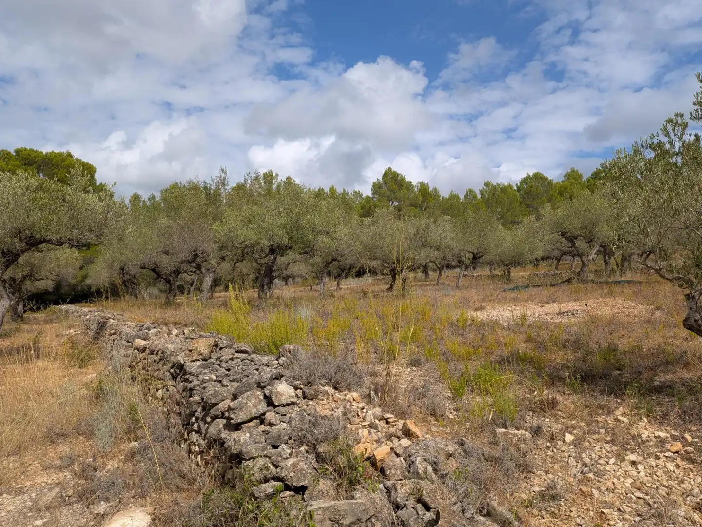 Maison rustique à vendre à Camino  Tivissa 51, imagen 47