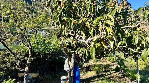 Foto 5 von Grundstücke zum Verkauf in Candelaria - Playa La Viuda, Candelaria