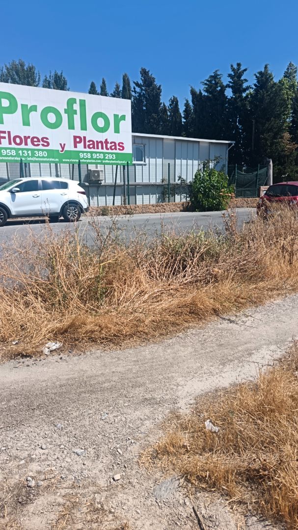 Land for sale in Armilla