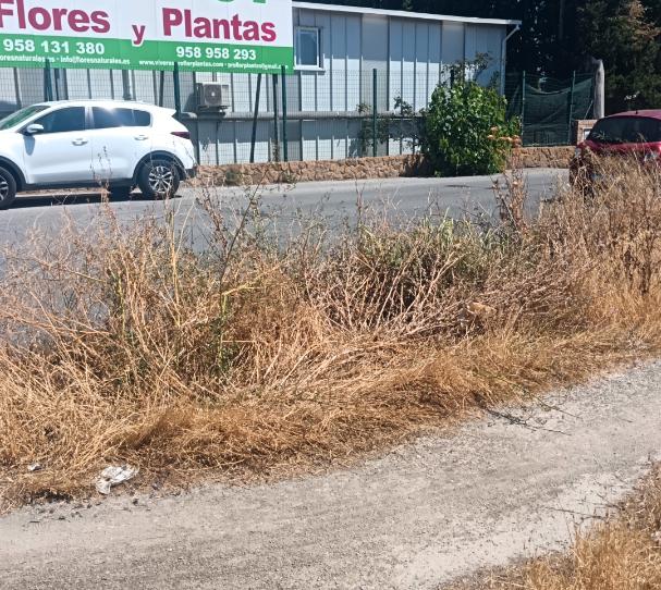 Photo 1 of Land for sale in Calle Real, 42, Las Tres Cruces, Granada