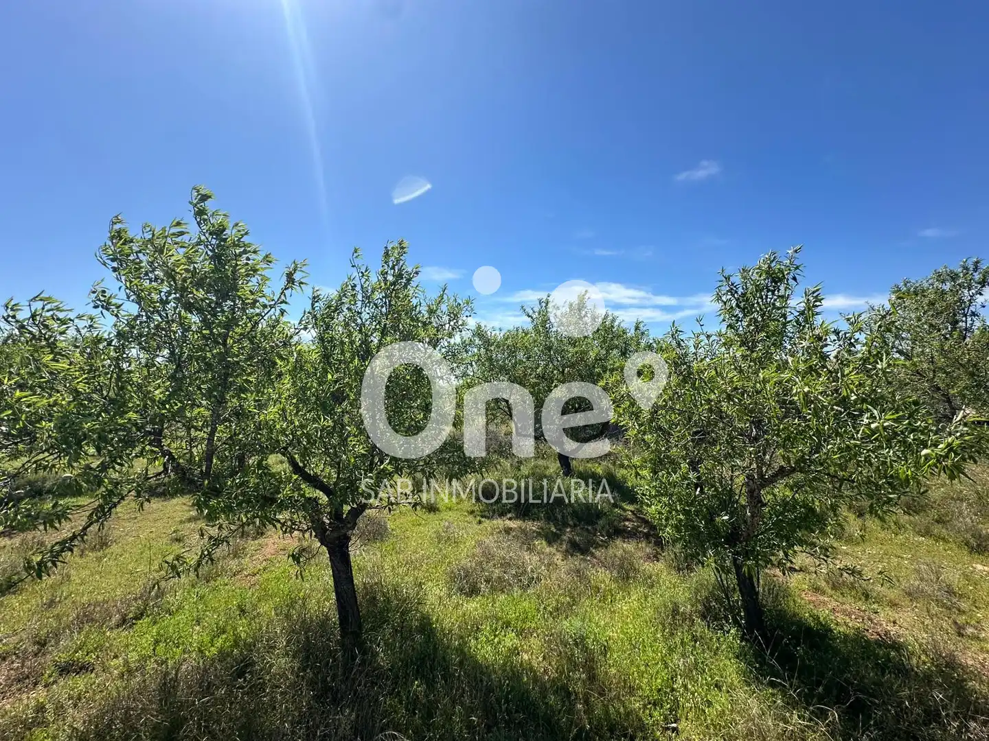 Terrain rustique à vendre à Diseminado-san Ant Benag 29, imagen 11