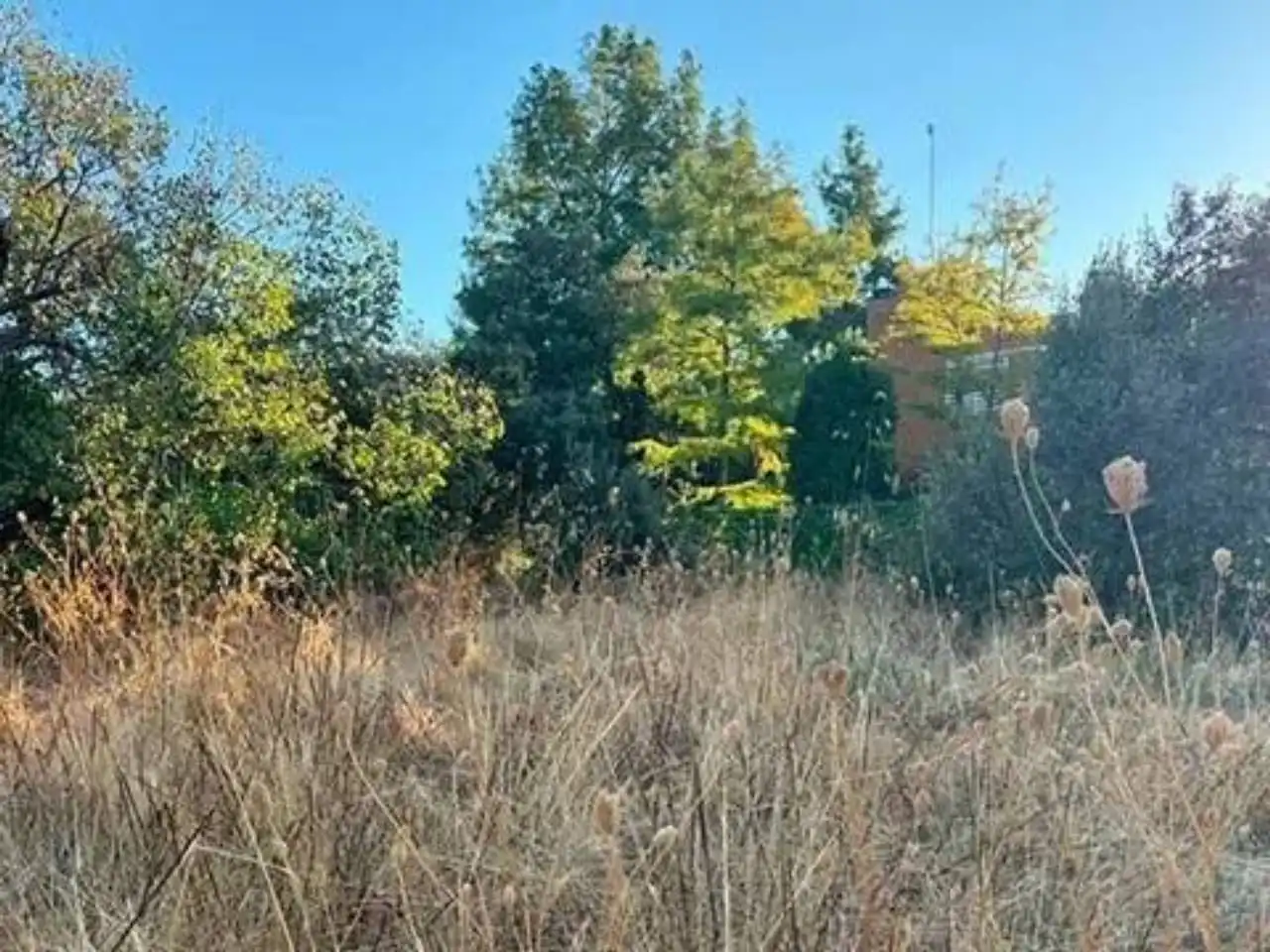 Terreno residencial en venta en Moncloa - Aravaca, imagen 10