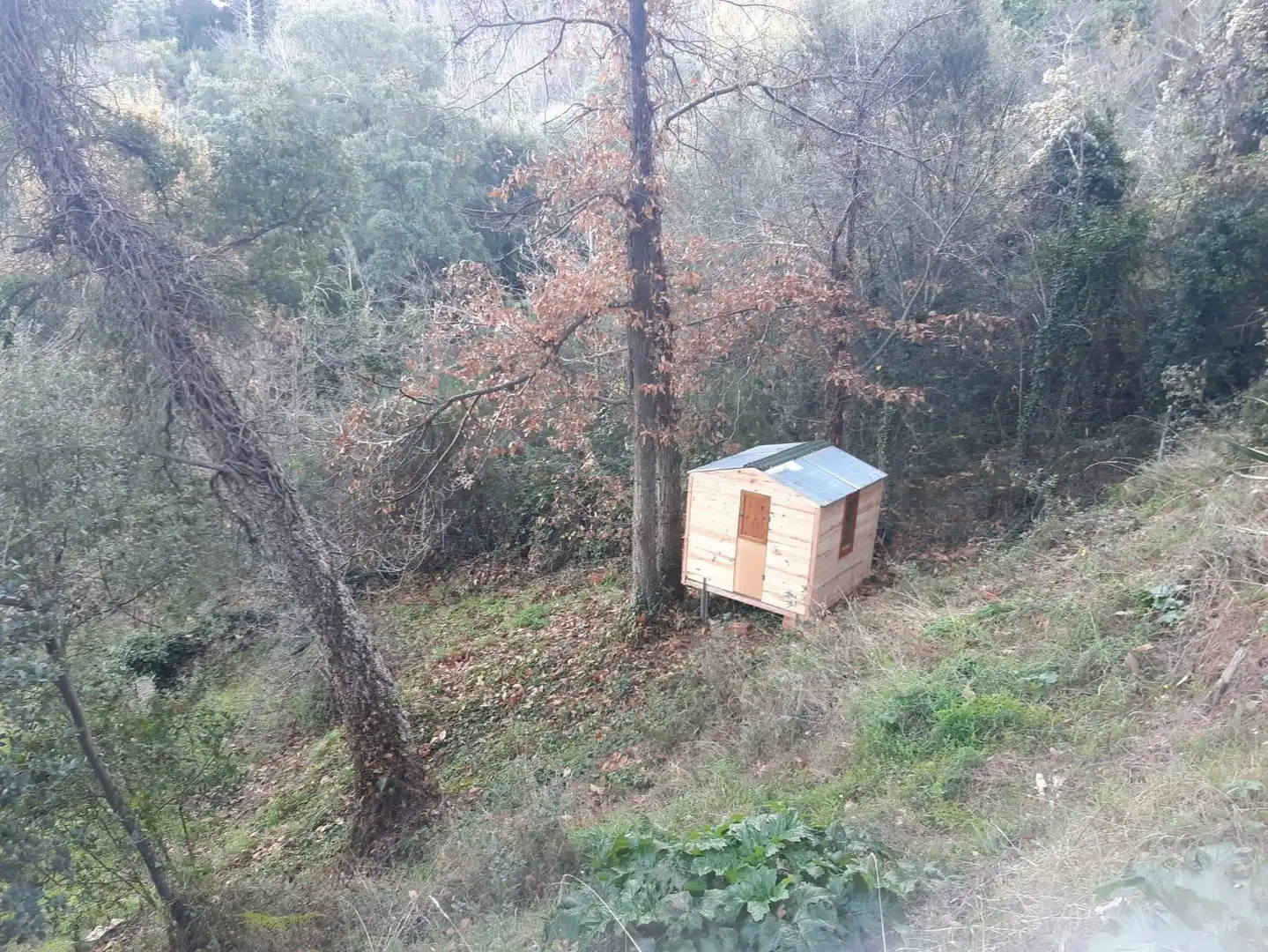 Terreno rustico in vendita a Tordera pueblo, imagen 20
