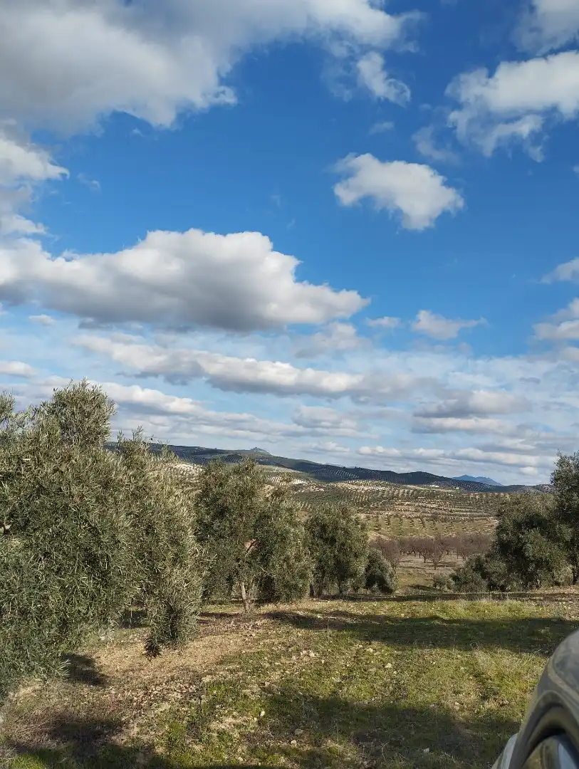 Rural land for sale in Calle Río Anzur, imagen 6