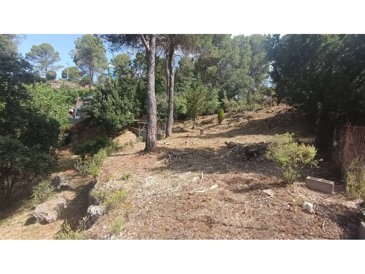 Rural land for sale in Vacarisses, imagen 18