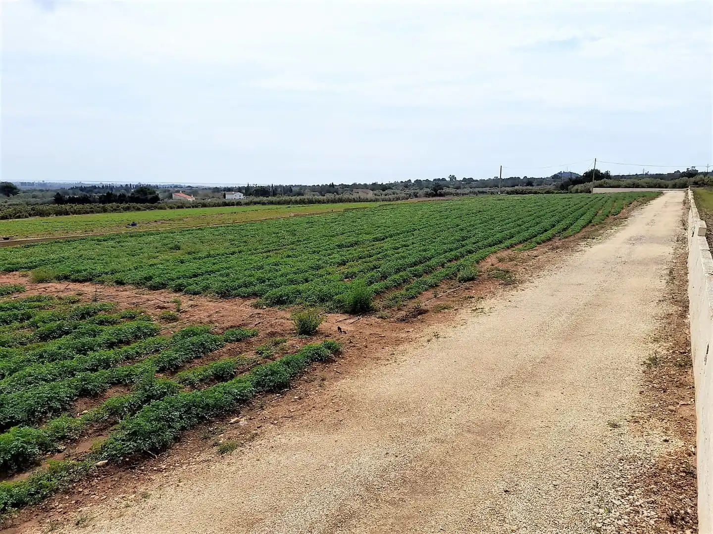 Terreno rústico en venta en Valletes - Xiribecs, imagen 2
