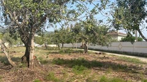 Photo 5 of Residential for sale in Remolins - Sant Jaume, Tarragona