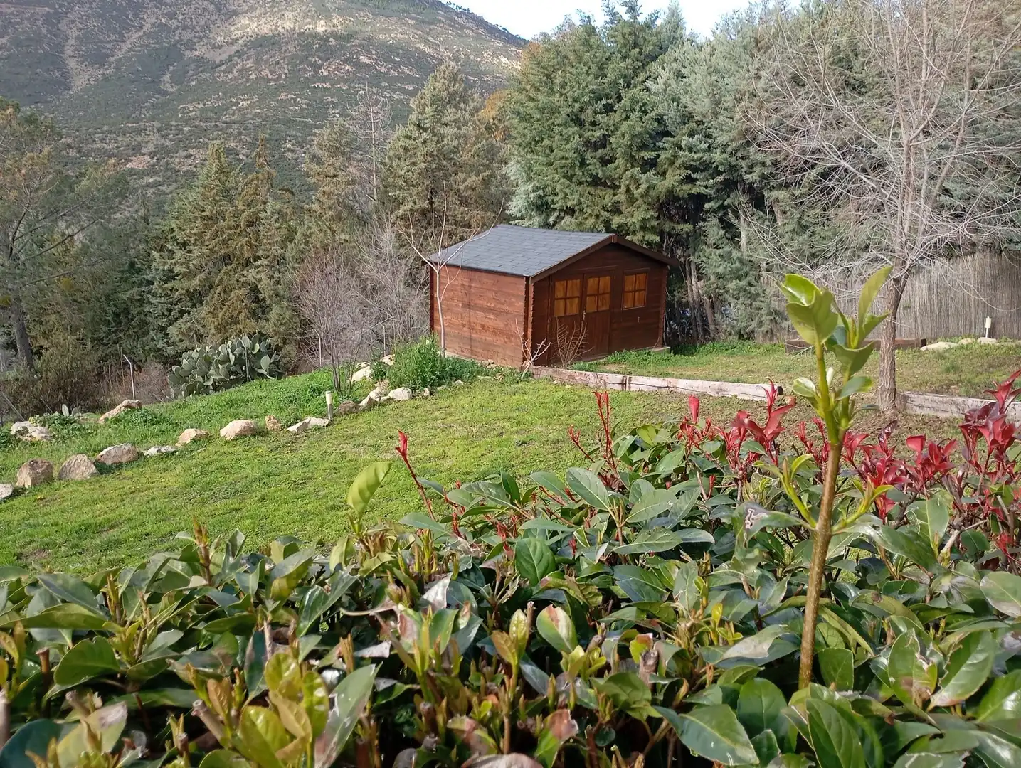 Jardí de Casa o xalet en venda en Robledo de Chavela amb Aire condicionat, Calefacció i Jardí privat