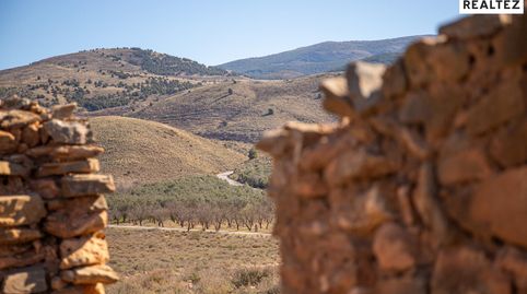 Terreno rústico de 20.783 m2 a pie de carretera en Alcolea, en plena Alpujarra Almeriense, immagine 5