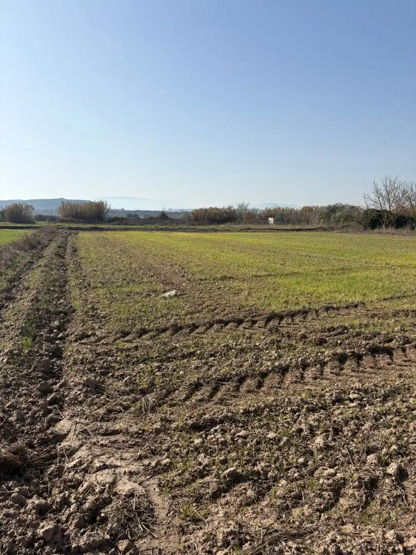 Rural land for sale in Agoncillo, imagen 5