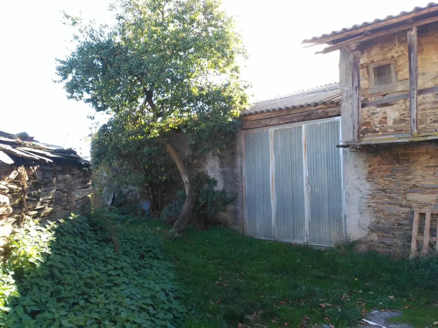 Finca rústica en venda a Castro Caldelas