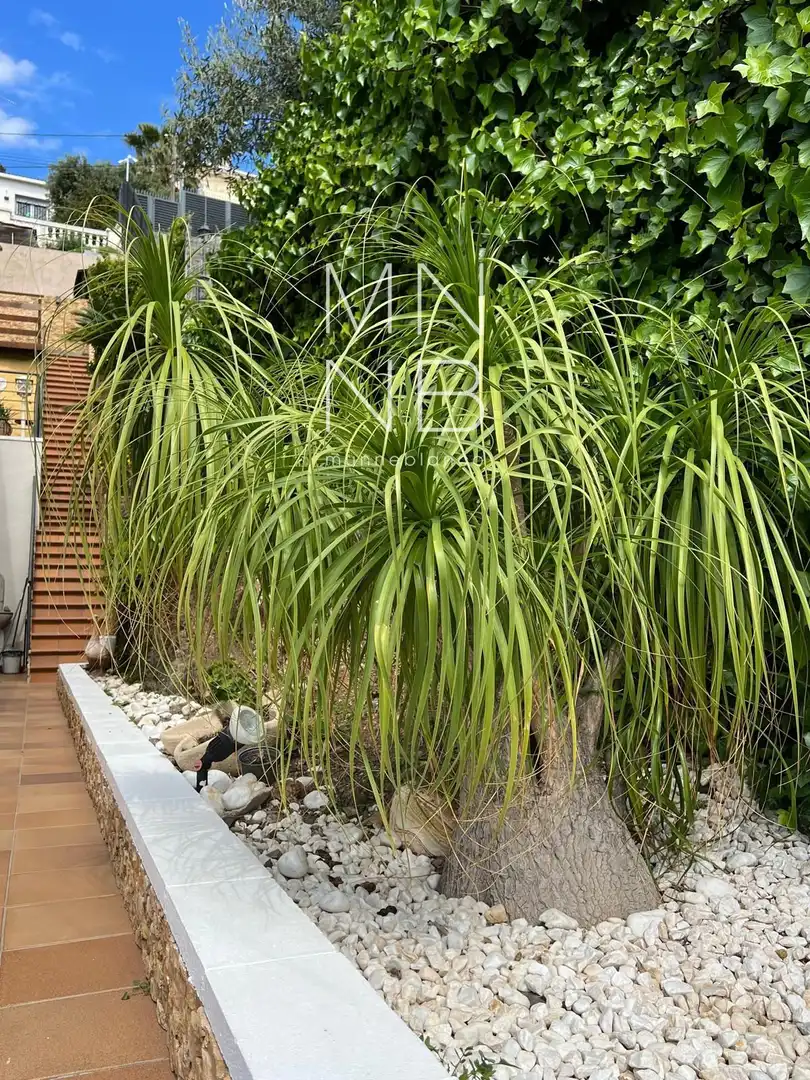 Jardí de Casa o xalet en venda en Malgrat de Mar amb Aire condicionat, Calefacció i Traster