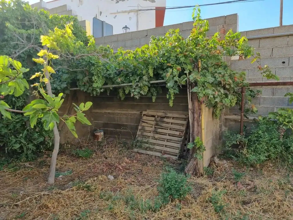 Jardín de Casa o chalet en venta en Alhama de Almería con Jardín privado, Terraza y Piscina