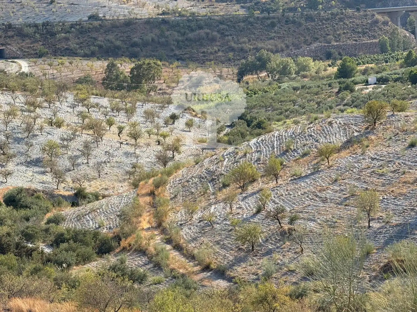 Grundstücke zum Verkauf in Vélez de Benaudalla