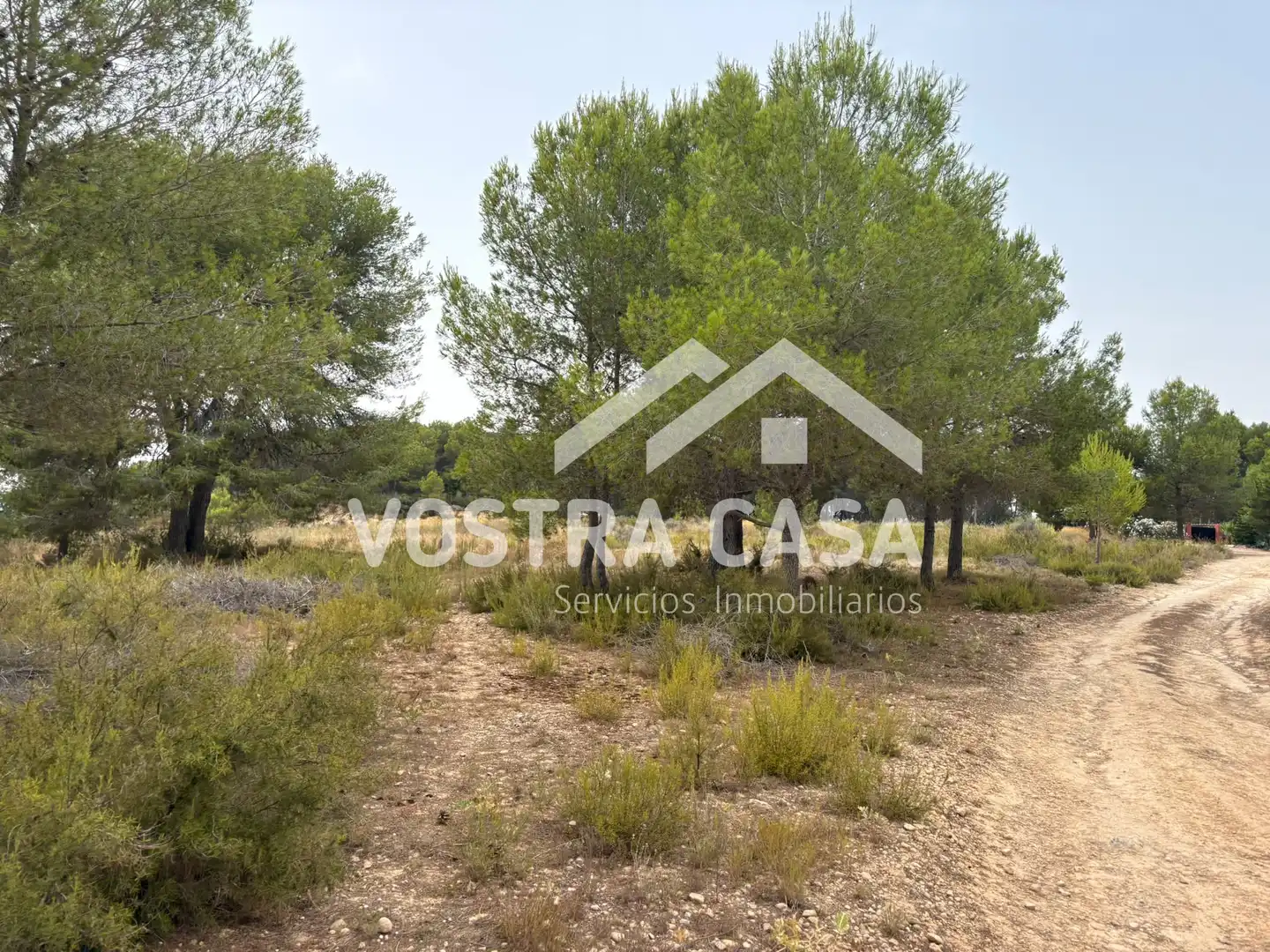 Terreno rustico in vendita a CL BADAJOZ, imagen 6