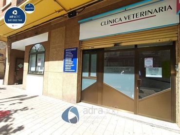 Local comercial en alquiler en Casco Antiguo