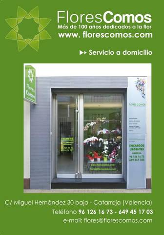 Local comercial en Alquiler en Catarroja