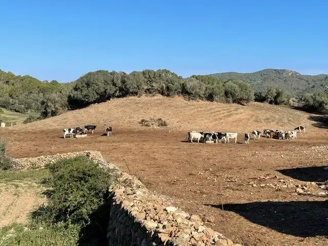 Casa o chalet en venta en Ciutadella de Menorca con Jardín privado, Terraza y Trastero