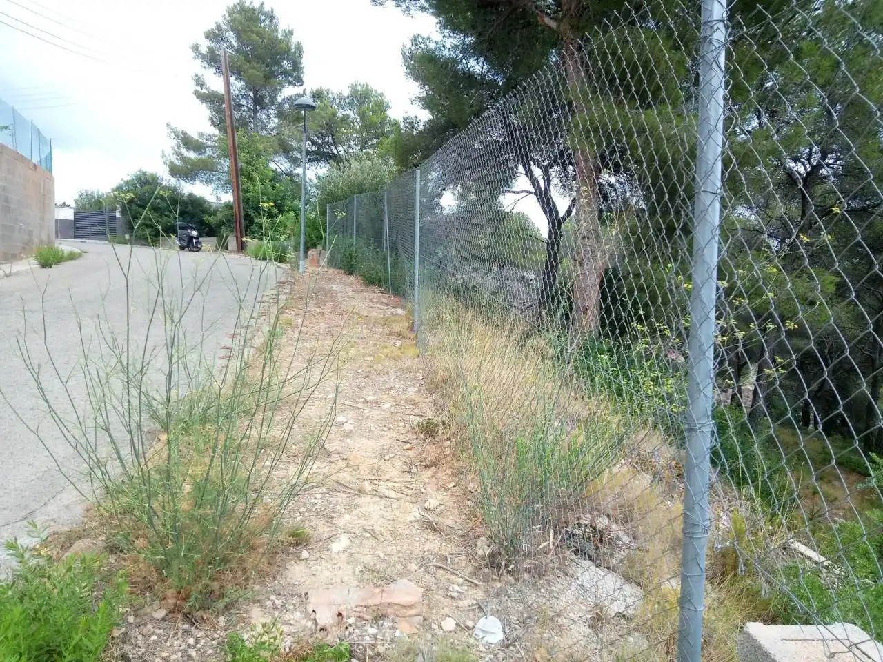 Terreno rustico in vendita a Calle Tulipa, imagen 9