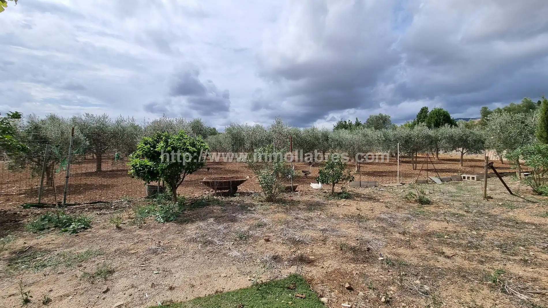 Country house for sale in Campanet, imagen 11