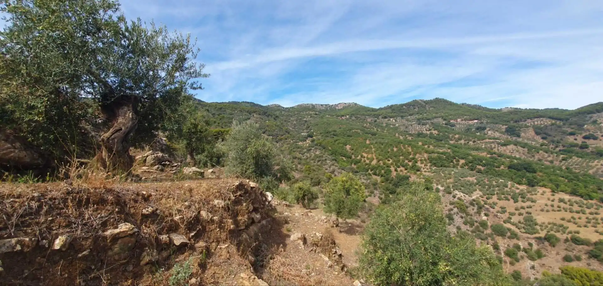 Terreni e lotti in vendita a Yunquera, imagen 5