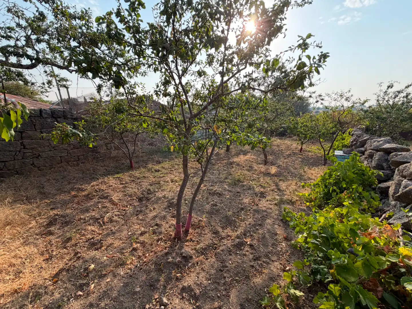 Residencial en venta en Cillán