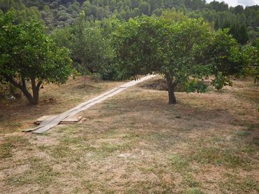 Terrenys i solars en venda a DE L`ALQUERÍA