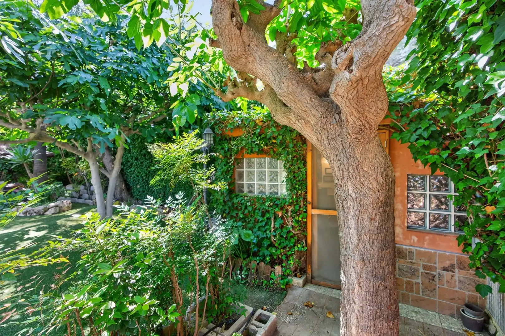 Jardín de Casa o chalet en venta en Benferri con Piscina