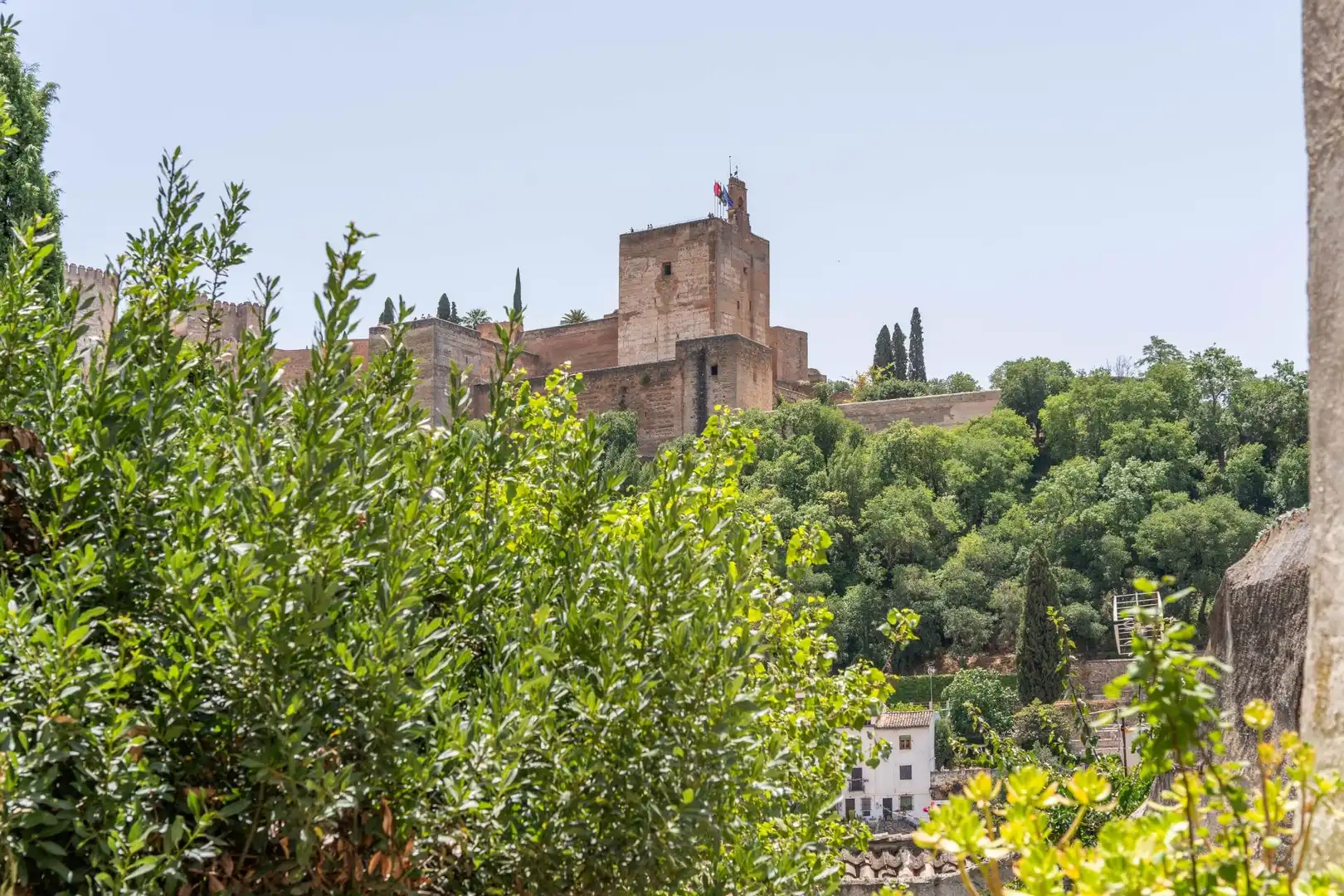 Jardín de Casa o chalet en venta en Granada con Terraza y Balcón