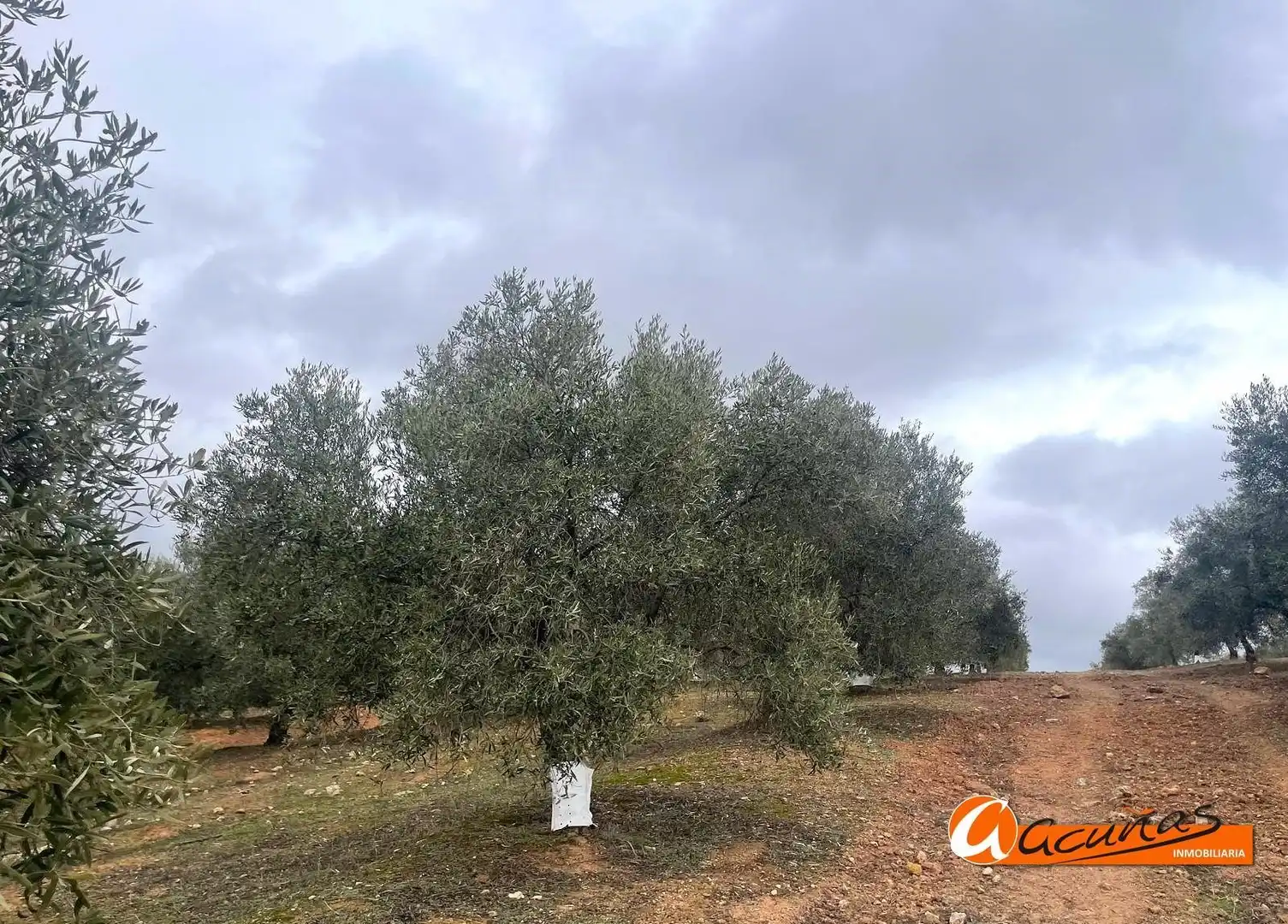 Terrenos y solares en venta en Alameda, imagen 45