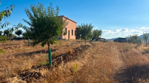 ^**^FINCA AGRÍCOLA Y DE RECREO EN TOLEDO – 17 HECTÁREAS CON CASA EN CONSTRUCCIÓN Y MÚLTIPLES POSIBILIDADES^**^, imatge 4