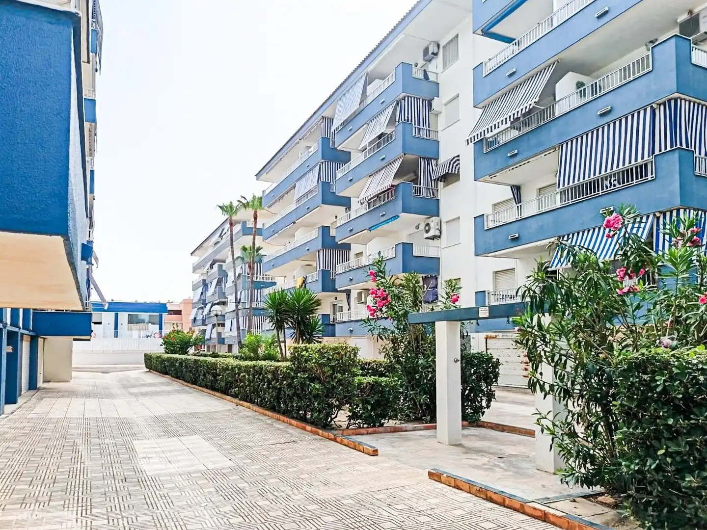 Vista exterior de Apartament en venda en Miramar amb Terrassa, Moblat i Piscina comunitària