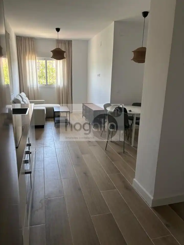 Ground floor for rent in Triana Casco Antiguo
