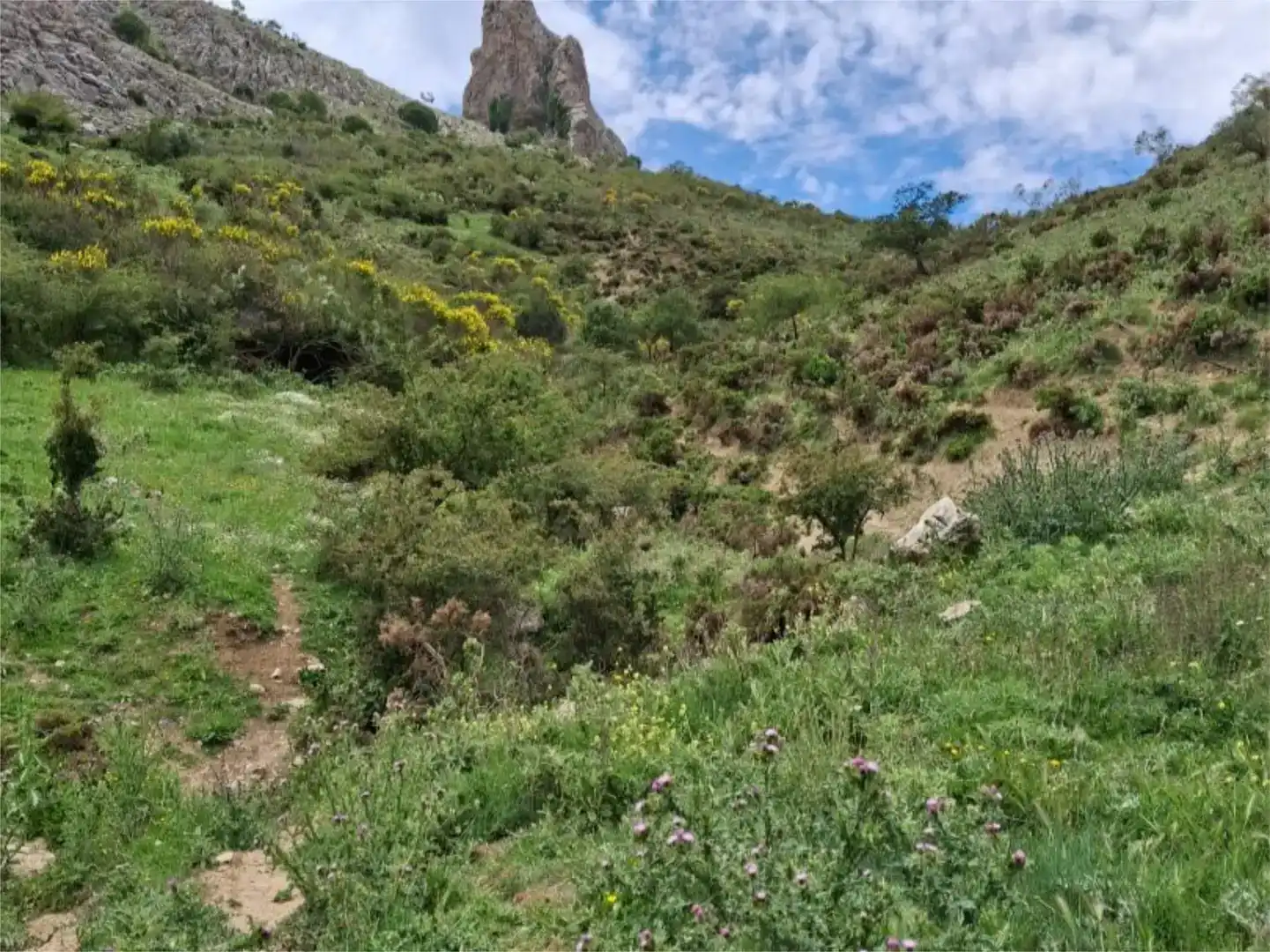 Finca rústica en venda en Alfarnate