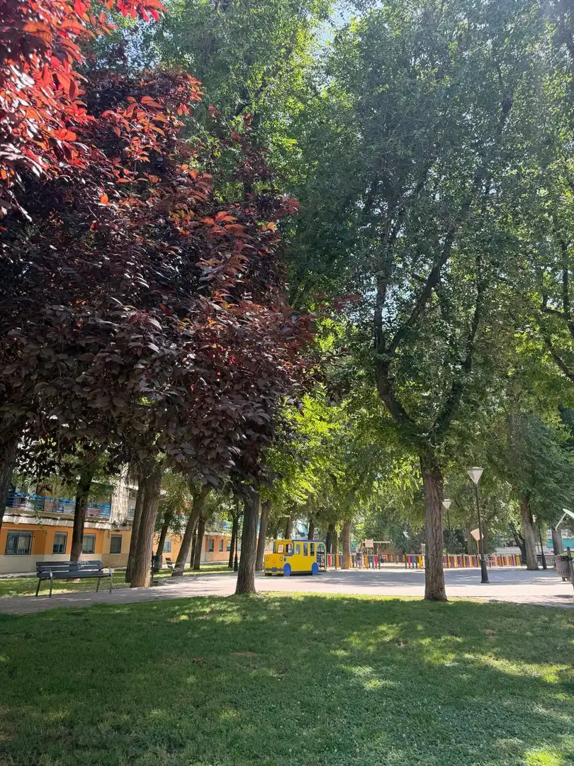 Exterior view of Flat for sale in Pinto  with Terrace