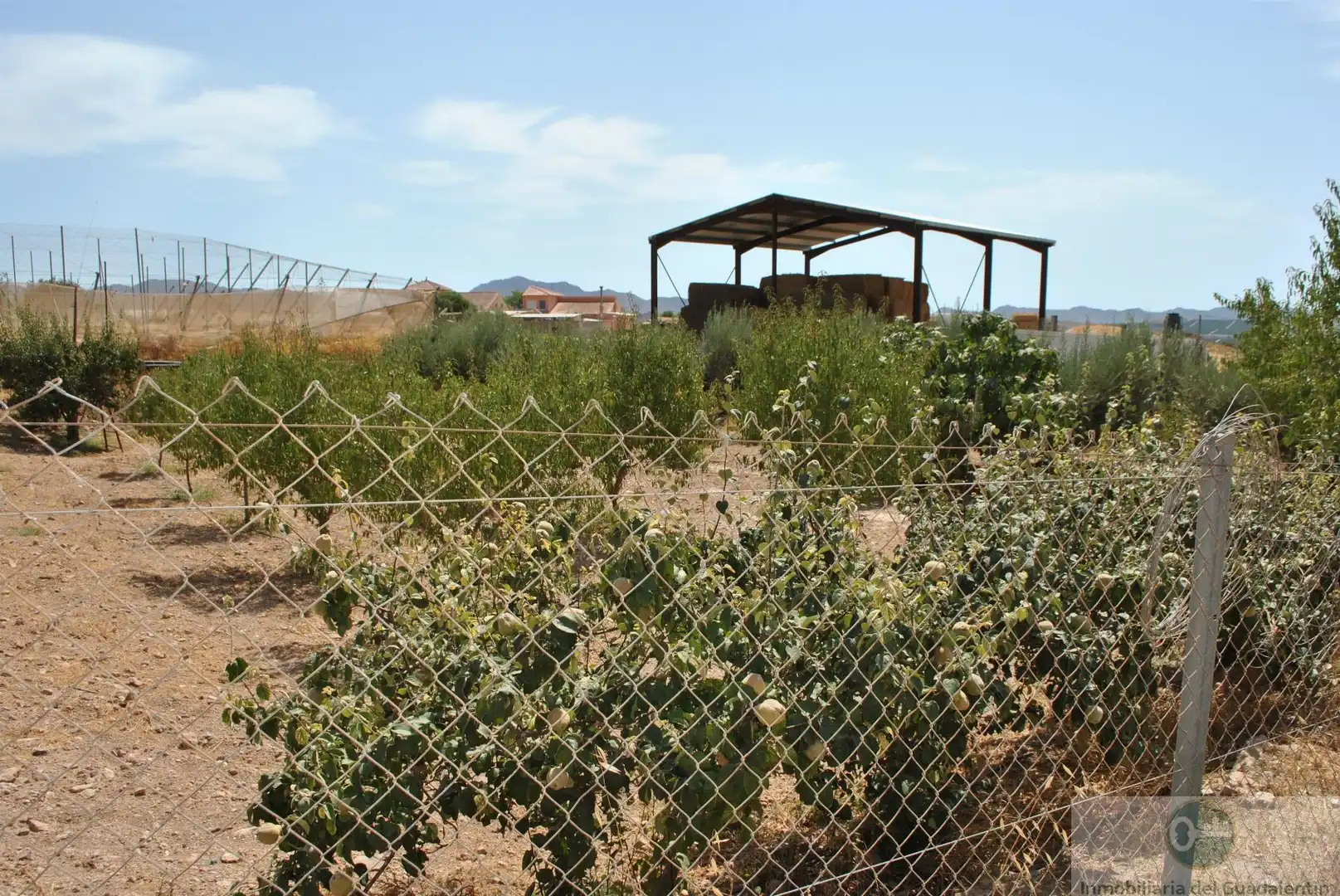 Jardí de Casa o xalet en venda en Lorca