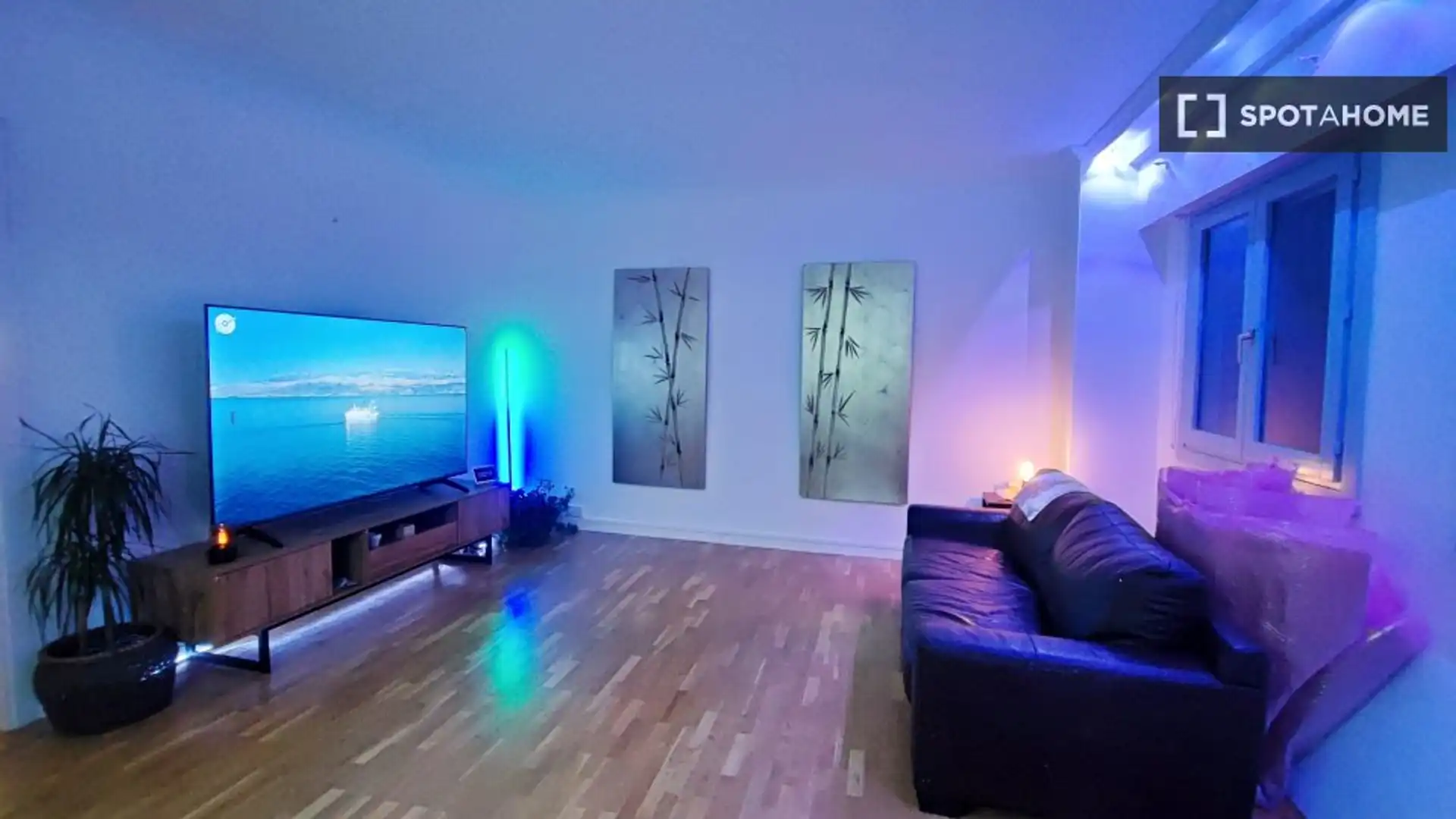 Living room of Flat for rent in  Madrid Capital  with Air Conditioner, Heating and Furnished