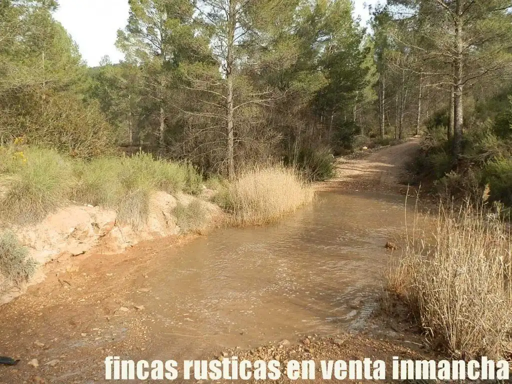 Rural land for sale in Requena, imagen 11