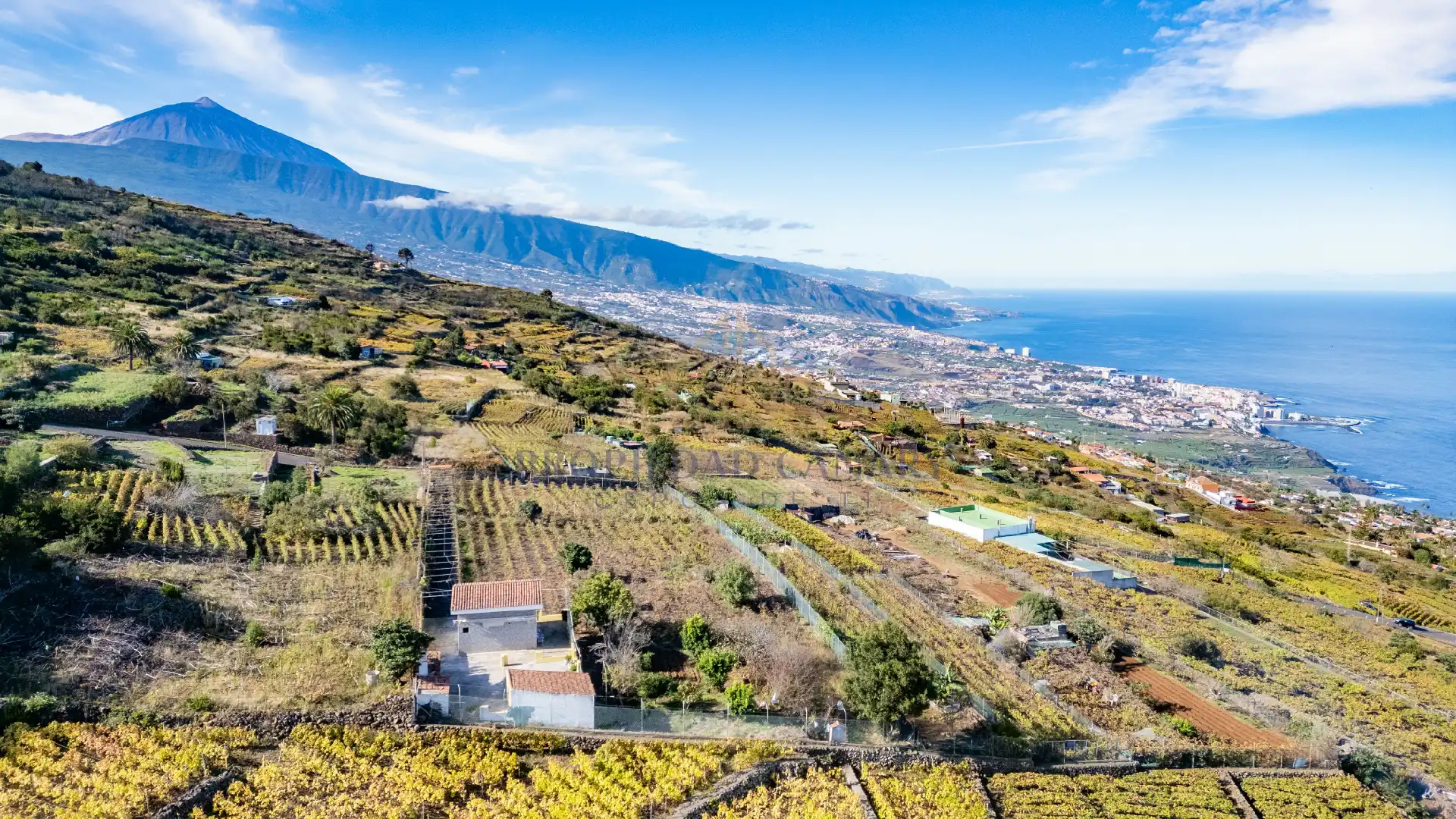 Vista exterior de Finca rústica en venda en Santa Úrsula amb Terrassa