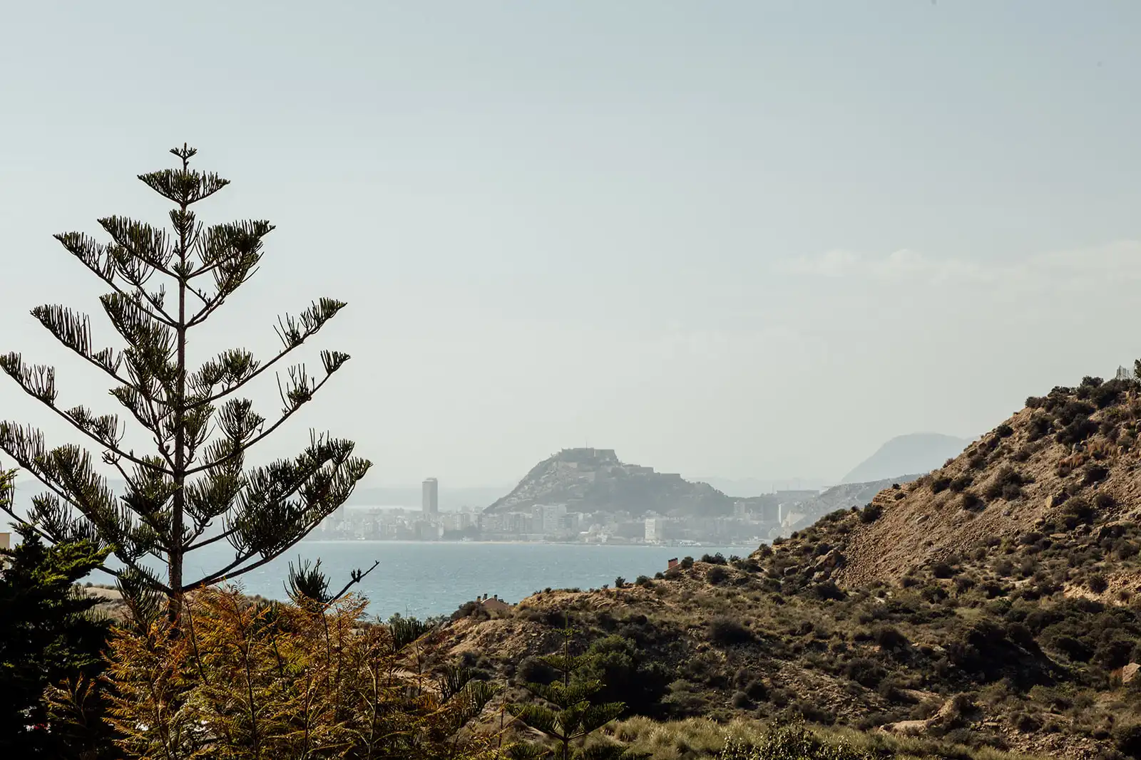 Vista exterior de Casa o chalet en venta en Alicante / Alacant con Aire acondicionado, Calefacción y Jardín privado